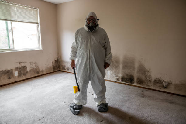 Dover, NJ Mold Remediation Company